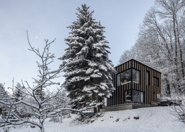 T2a Architects, photographer's house, architecture, Budapest architecture, Bence Turanyi, photographer Zsolt Batar, cabin built in two days, pilis forest, Budapest, Hungary, tiny homes, winter retreats, forest cabin, tiny cabins,
