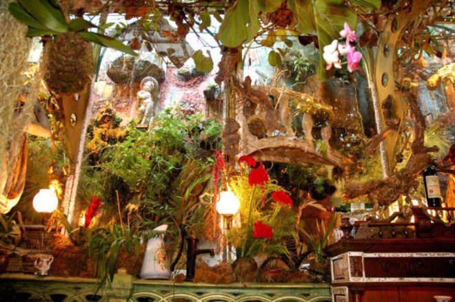 Mas Provencal, flower restaurant in France, secret garden restaurant, edible grapes and cherry tomatoes, exotic French restaurant in Nice, greenhouse restaurant, fairy garden restaurant,