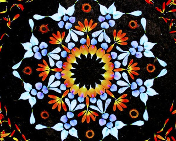 Kathy Klein, natural mandalas, Art, Botanical, Danmalas, flower petals, leaves designs, geometric natural design, ephemeral art