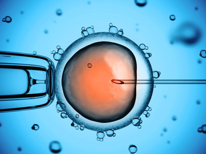 Food and Drug Administration, FDA, three parent embryos, genetic modification, Marcy Darnovsky, Center for Genetics and Society, Oregon Health and Science University, mitochondrial DNA, mitochondria, designer babies, creating embryos from the DNA of three people, DNA modification, DNA, embryos, medical research, ethical debates, healthy children,
