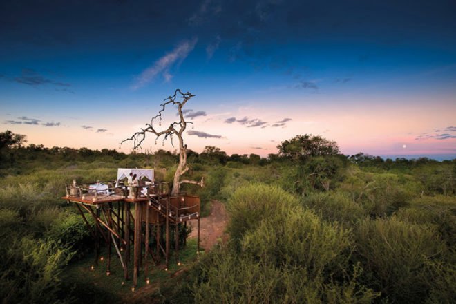 green design, eco design, sustainable design, African Safari resort, treehouses, treehouse resort, Lion Sands Game Reserve, Eco resort, eco luxury, Sabie River