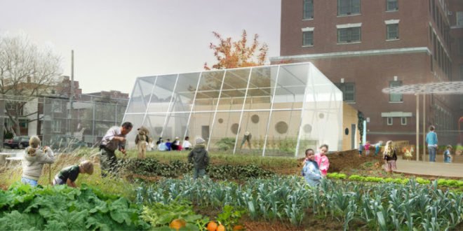 Public School 216, P.S. 216, New York architect WORKac, Arturo Toscanini, Edible Schoolyard NYC, edible school yard, edible playground, student gardening classes, student kitchen classes, children’s education, cementitious shingles, student chefs, student gardners, greenhouse, kitchen, education, converted parking lots, greening projects, former parking lots, WORK Architecture Company