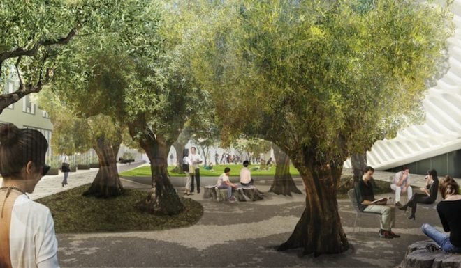 Diller Scofidio + Renfro, hood design, the broad art museum, los angeles, public plaza, outdoor plaza, landscaped plaza, Barouni olive trees, bunker hill, Bill Chait