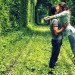 Natural Architecture, natural arch, Tunnel of Love, green tunnel, ukraine, train, Architecture, Botanical
