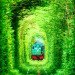 Natural Architecture, natural arch, Tunnel of Love, green tunnel, ukraine, train, Architecture, Botanical
