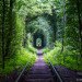 Natural Architecture, natural arch, Tunnel of Love, green tunnel, ukraine, train, Architecture, Botanical