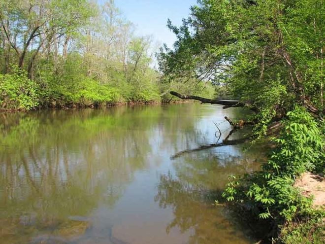 dan river, duke energy, coal ash spill, water contamination, coal fire power plant