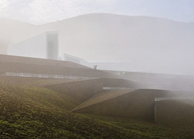 Pocinho Center, olympic rowing, portugal, Álvaro Fernandes Andrade, Douru River Valley, world heritage site, grass terraces, south facing skylights, passive solar design, serpentine architecture