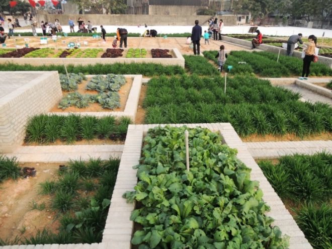 Value Farm, Thomas Chung, sustainable agriculture, green design, urban farming, eco design, environmentally friendly design, china farm, irrigation, rooftop farming