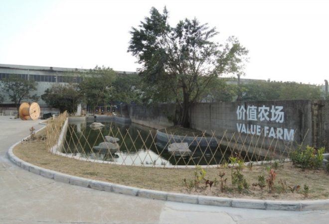 Value Farm, Thomas Chung, sustainable agriculture, green design, urban farming, eco design, environmentally friendly design, china farm, irrigation, rooftop farming