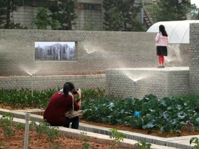 Value Farm, Thomas Chung, sustainable agriculture, green design, urban farming, eco design, environmentally friendly design, china farm, irrigation, rooftop farming