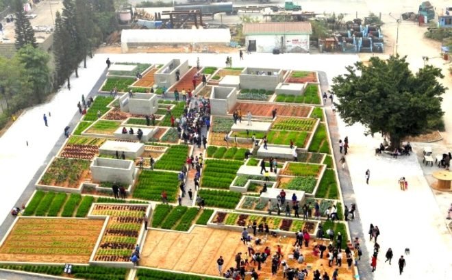 Value Farm, Thomas Chung, sustainable agriculture, green design, urban farming, eco design, environmentally friendly design, china farm, irrigation, rooftop farming, food security, overpopulation, rooftop farm in China,