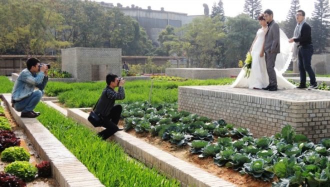 Value Farm, Thomas Chung, sustainable agriculture, green design, urban farming, eco design, environmentally friendly design, china farm, irrigation, rooftop farming