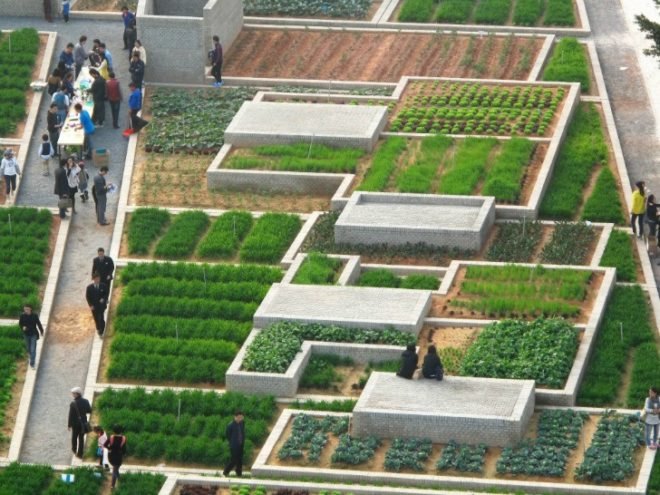 Value Farm, Thomas Chung, sustainable agriculture, green design, urban farming, eco design, environmentally friendly design, china farm, irrigation, rooftop farming