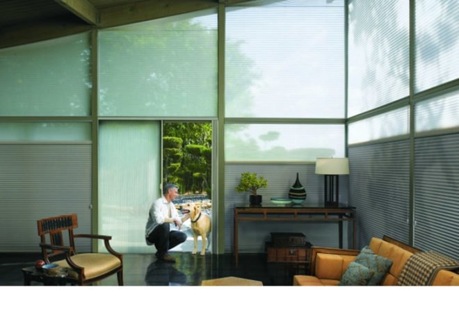 Decorview Duette Shades On a Glass House, Architella Duette Shades, green shades, eco shades" title="Decorview Duette Shades On a Glass House