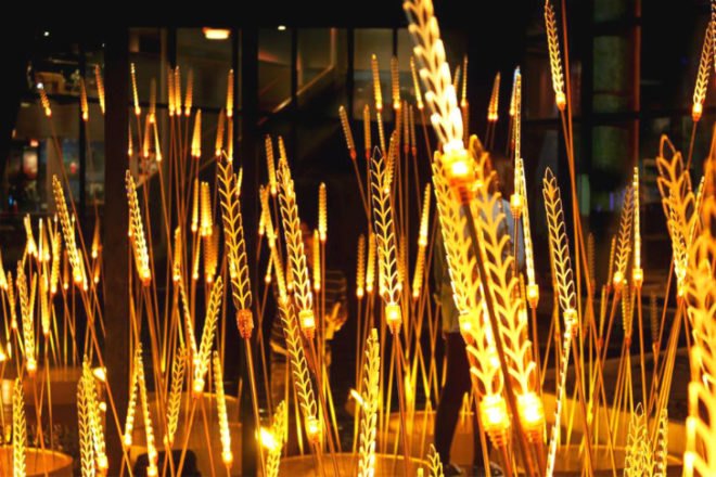 Royal Rice Field, Apostrophys, rice, rice field, thailand, lighting installation, led lights