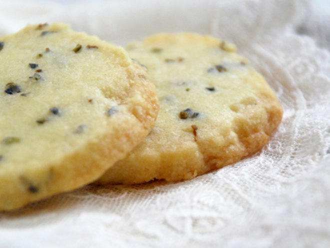 Spruce, spruce recipes, spruce tips, spruce shortbread, spruce tip cookies