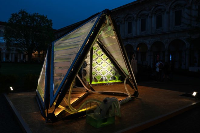 Urban Algae Canopy by ecoLogic Studio at Expo Milano 2015, custom designed ETFE cladding system, reactive bio-digital architecture by ecoLogic Studio, special CNC welding technology, organic canopy for Future Food District project by Carlo Ratti Associati, Bio-digital architecture at Expo Milano 2015, ecoLogic Studio combine technology and biology, responsive algae canopy by ecoLogic Studio, responsive bio-digital canopy at Expo Milano 2015,