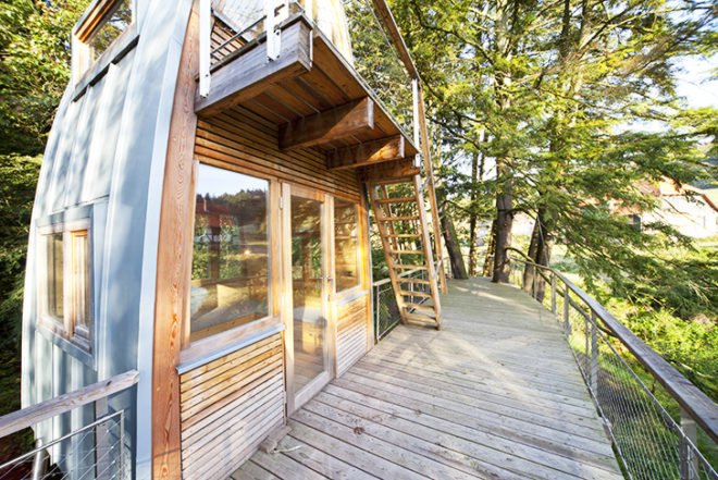 Baumraum, Long-Legged shelter, Solling Treehouse, on stilts, stands on a lake, wooden treehouse, germany