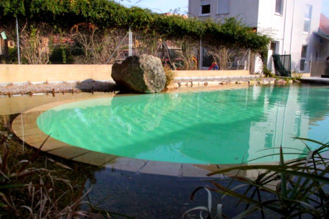 Edible Natural Swimming Pool, Urbanarbolismo, natural swimming pool, chlorine free, valencia spain, swimming pool, pool