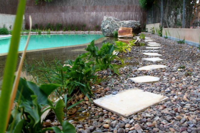 Edible Natural Swimming Pool, Urbanarbolismo, natural swimming pool, chlorine free, valencia spain, swimming pool, pool