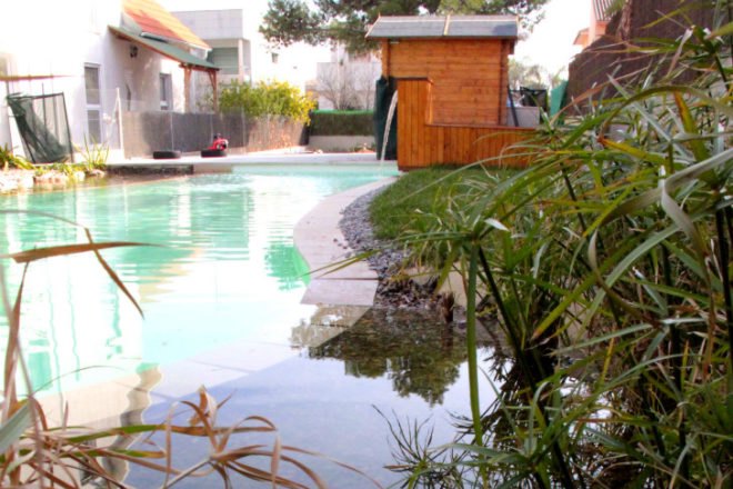 Edible Natural Swimming Pool, Urbanarbolismo, natural swimming pool, chlorine free, valencia spain, swimming pool, pool