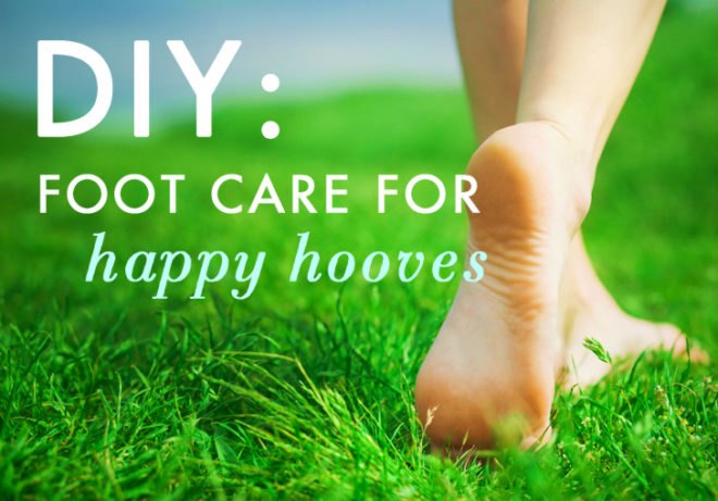 Foot care, foot soak, cream, moisturizer, deodorizer, feet, paws, hooves