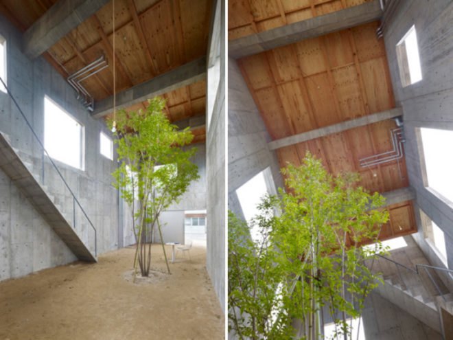 House of Yagi, house in yagi, Suppose Design Office, hiroshima, open living, single tree