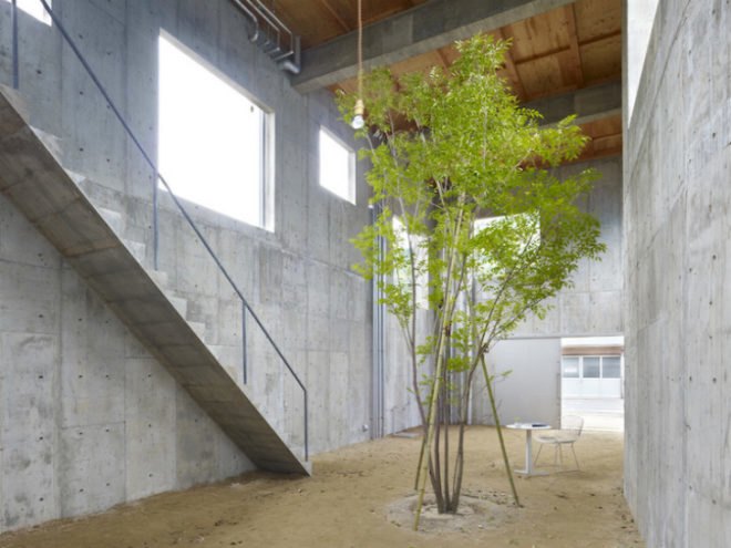 House of Yagi, house in yagi, Suppose Design Office, hiroshima, open living, single tree
