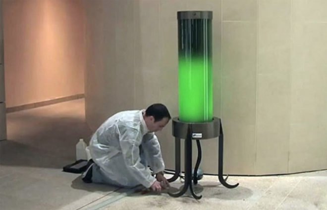 algae, microalgae, algae lamp, co2 emissions, carbon-absorbing algae, Pierre Calleja, eco-friendly lighting, electricity-free lamp, photosynthesis