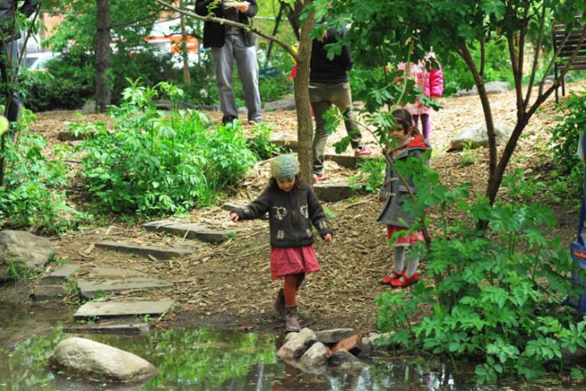 New Amsterdam School, Elea Robinson, Waldorf, Waldorf School, Waldorf Education, Holistic Education