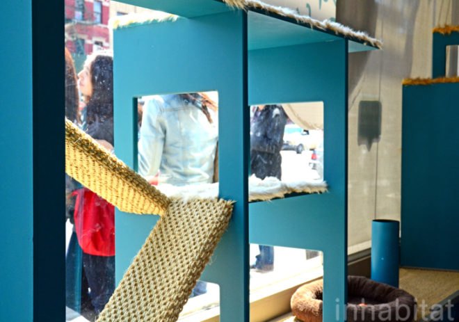 Purina, Purina ONE, pop up cat cafe, cat cafe NYC, North Shore Animal League, cattucino, animal rescue, pop up design, temporary design, design for cats, cat behavior, cat health, cat adoptions, NYC cat adoptions, urban cat cafe, kitty interior design
