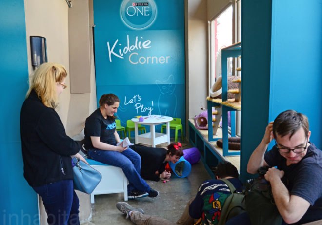 Purina, Purina ONE, pop up cat cafe, cat cafe NYC, North Shore Animal League, cattucino, animal rescue, pop up design, temporary design, design for cats, cat behavior, cat health, cat adoptions, NYC cat adoptions, urban cat cafe, kitty interior design