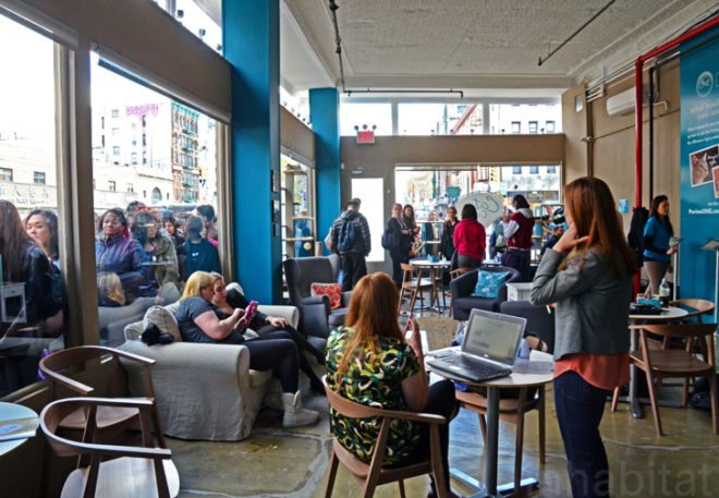 Purina, Purina ONE, pop up cat cafe, cat cafe NYC, North Shore Animal League, cattucino, animal rescue, pop up design, temporary design, design for cats, cat behavior, cat health, cat adoptions, NYC cat adoptions, urban cat cafe, kitty interior design