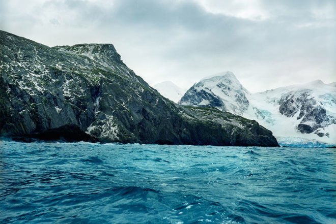 Rachel Sussman, The Oldest Living Things in the World, book pf photographs, old plants around the world, Botanical, Art, Eco Travel, global warming