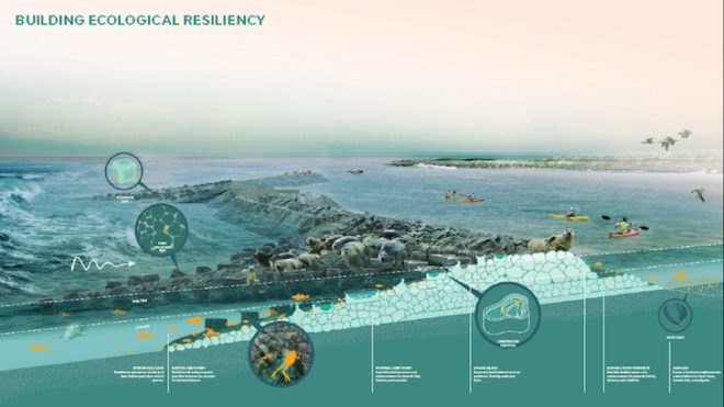 Rebuild by design, rebuild by design competition, resiliency, hurricane sandy, OMA, west8, hra, olin, scape, wxy architecture, department of housing and urban development, hurricane sandy rebuilding task force, bjarke ingels group, MIT, penndesign, sasaki,