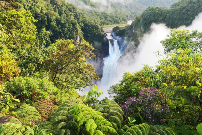Conservation, environmental protection, deforestation, pollution, habitat loss, endangered species