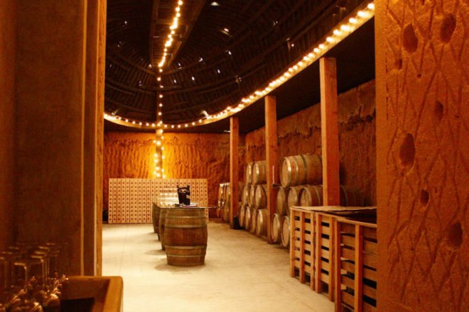 Vena Cava Winery, Alejandro D'Acosta, Claudia Turrent, eco winery, eco vineyard, baja, upcycled boats, reclaimed materials, salvaged materials