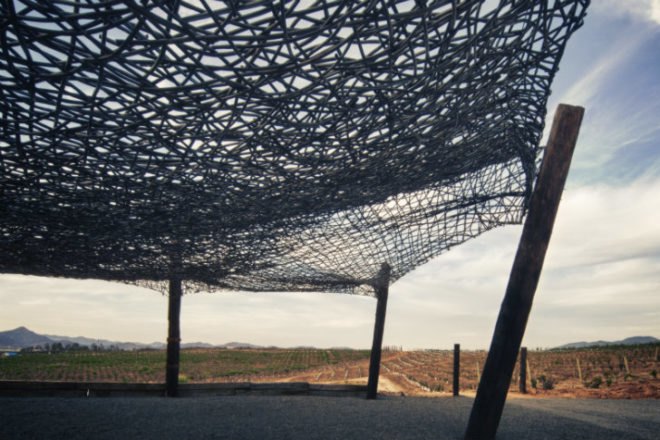 Vena Cava Winery, Alejandro D'Acosta, Claudia Turrent, eco winery, eco vineyard, baja, upcycled boats, reclaimed materials, salvaged materials