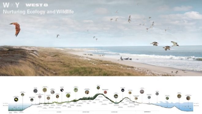 Rebuild by design, rebuild by design competition, resiliency, hurricane sandy, OMA, west8, hra, olin, scape, wxy architecture, department of housing and urban development, hurricane sandy rebuilding task force, bjarke ingels group, MIT, penndesign, sasaki,