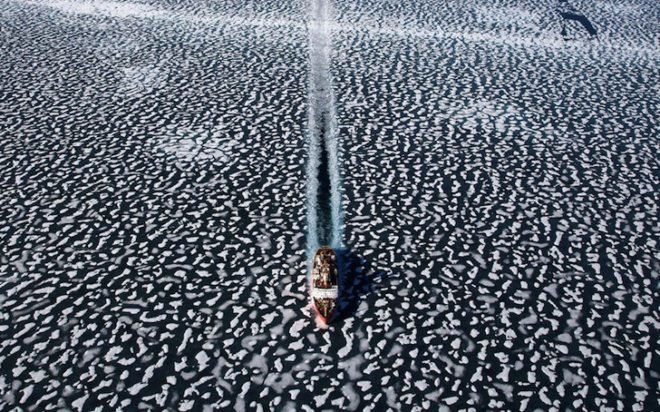 earth day, Yann Arthus-Bertrand, aerial photography, aerial photographs, Yann Arthus-Bertrand photography, earth day photography, landscapes, climate change, new caledonia, heart voh, mangrove swamps, aerial imagery, Yann Arthus-Betrand aerial photography,
