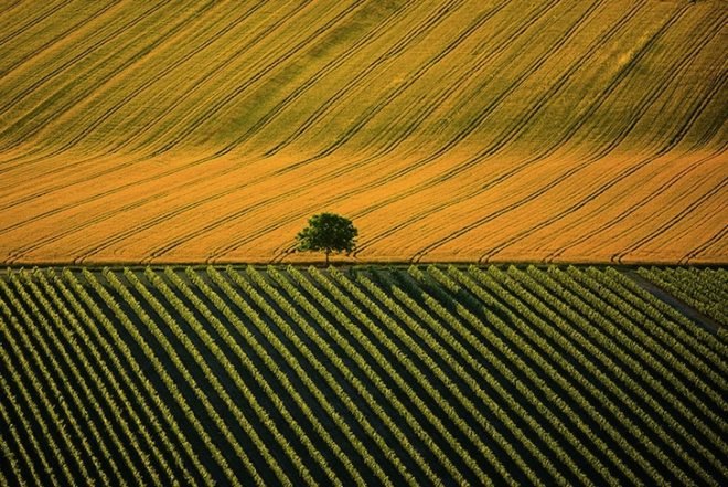 earth day, Yann Arthus-Bertrand, aerial photography, aerial photographs, Yann Arthus-Bertrand photography, earth day photography, landscapes, climate change, new caledonia, heart voh, mangrove swamps, aerial imagery, Yann Arthus-Betrand aerial photography,