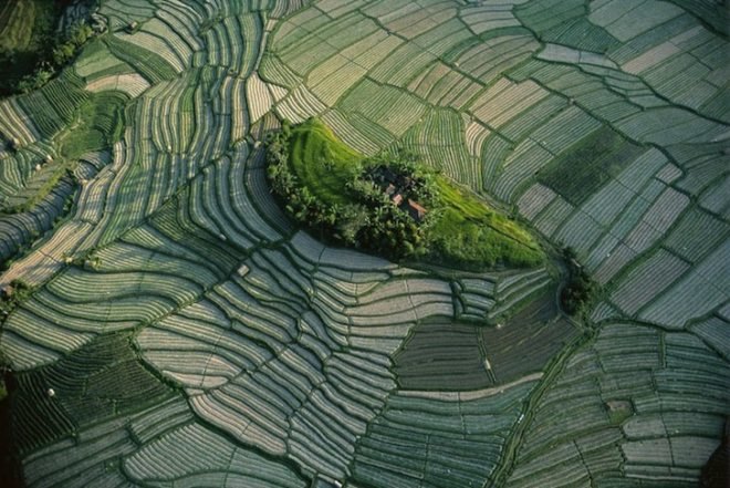 earth day, Yann Arthus-Bertrand, aerial photography, aerial photographs, Yann Arthus-Bertrand photography, earth day photography, landscapes, climate change, new caledonia, heart voh, mangrove swamps, aerial imagery, Yann Arthus-Betrand aerial photography,