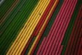 earth day, Yann Arthus-Bertrand, aerial photography, aerial photographs, Yann Arthus-Bertrand photography, earth day photography, landscapes, climate change, new caledonia, heart voh, mangrove swamps, aerial imagery, Yann Arthus-Betrand aerial photography,