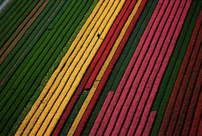 earth day, Yann Arthus-Bertrand, aerial photography, aerial photographs, Yann Arthus-Bertrand photography, earth day photography, landscapes, climate change, new caledonia, heart voh, mangrove swamps, aerial imagery, Yann Arthus-Betrand aerial photography,