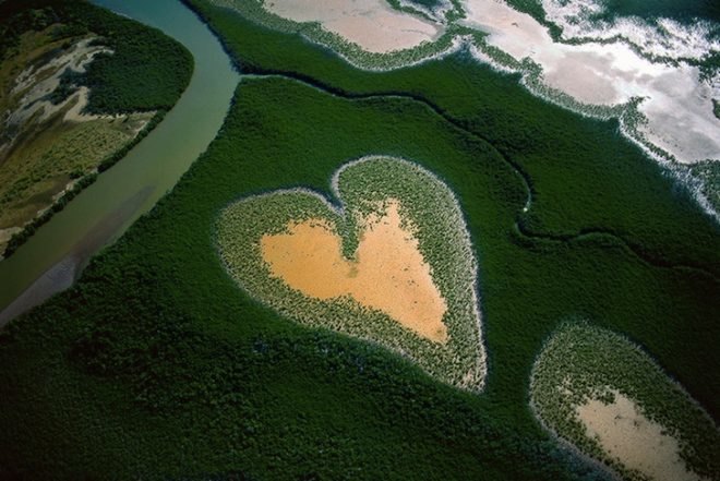 earth day, Yann Arthus-Bertrand, aerial photography, aerial photographs, Yann Arthus-Bertrand photography, earth day photography, landscapes, climate change, new caledonia, heart voh, mangrove swamps, aerial imagery, Yann Arthus-Betrand aerial photography,