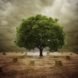 Earth Day, environment, deforestation, environmental issues, global warming, environmentalism, green lifestyle, earth day 2014, sustainable design, green design, environmental problems, environmental solutions