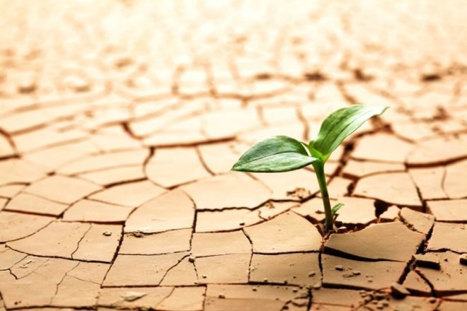 Earth Day, environment, soil erosion and degradation, environmental issues, global warming, environmentalism, green lifestyle, earth day 2014, sustainable design, green design, environmental problems, environmental solutions