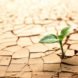 Earth Day, environment, soil erosion and degradation, environmental issues, global warming, environmentalism, green lifestyle, earth day 2014, sustainable design, green design, environmental problems, environmental solutions