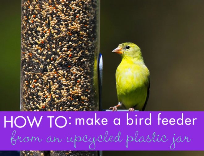 Birdfeeder, How-to, Window, Upcycle, Recycled, Peanut Butter Jar, Urban, DIY, Fire Escape